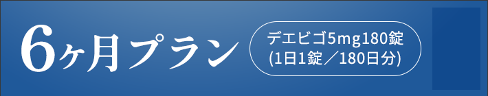 6ヶ月プラン