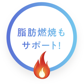 脂肪燃焼も