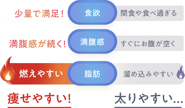 GLP-1の分泌量が多い人は痩せやすい！