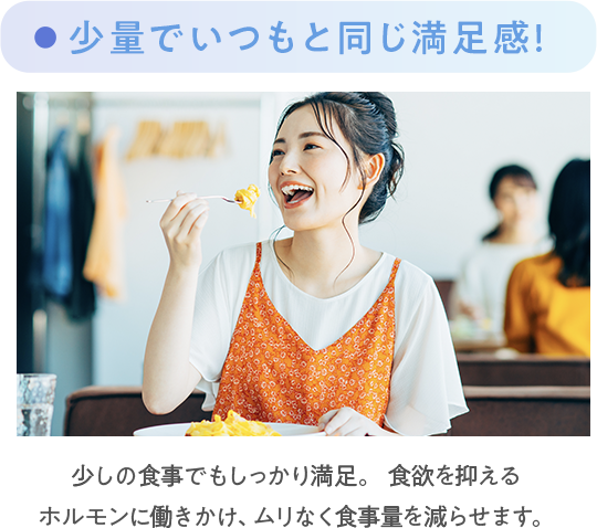 少量でいつもと同じ満足感